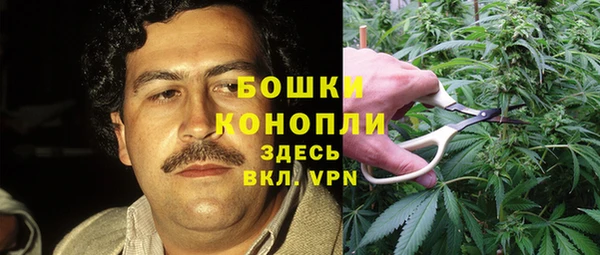 винт Баксан