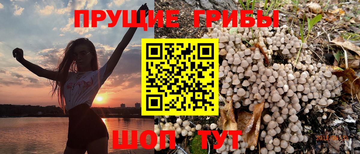 Галлюциногенные грибы мицелий Краснокаменск