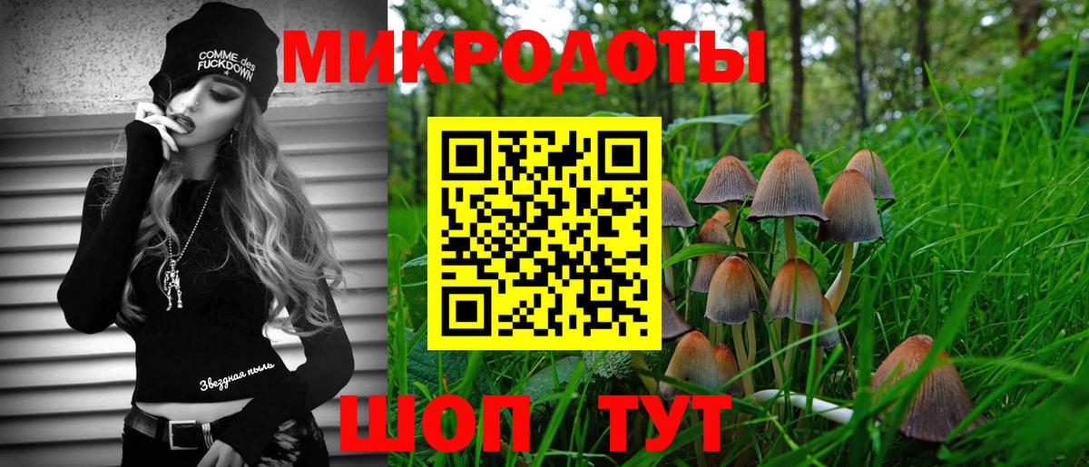 Краснокаменск  Галлюциногенные грибы Magic Shrooms  продажа наркотиков  Вход с VPN 